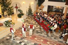 VIANOCE 2012 V BREZOVICI